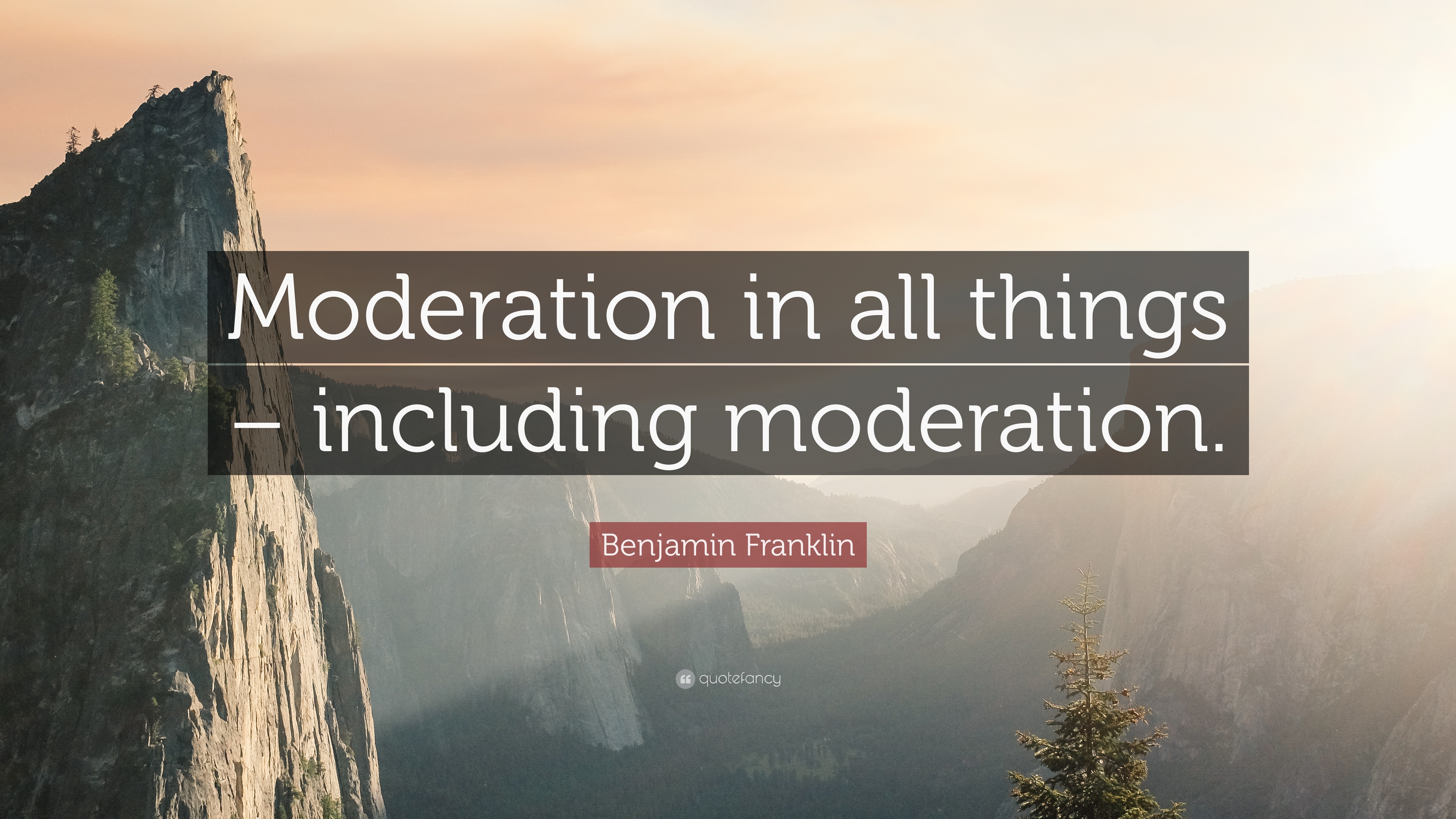 43 Best Moderation Quotes