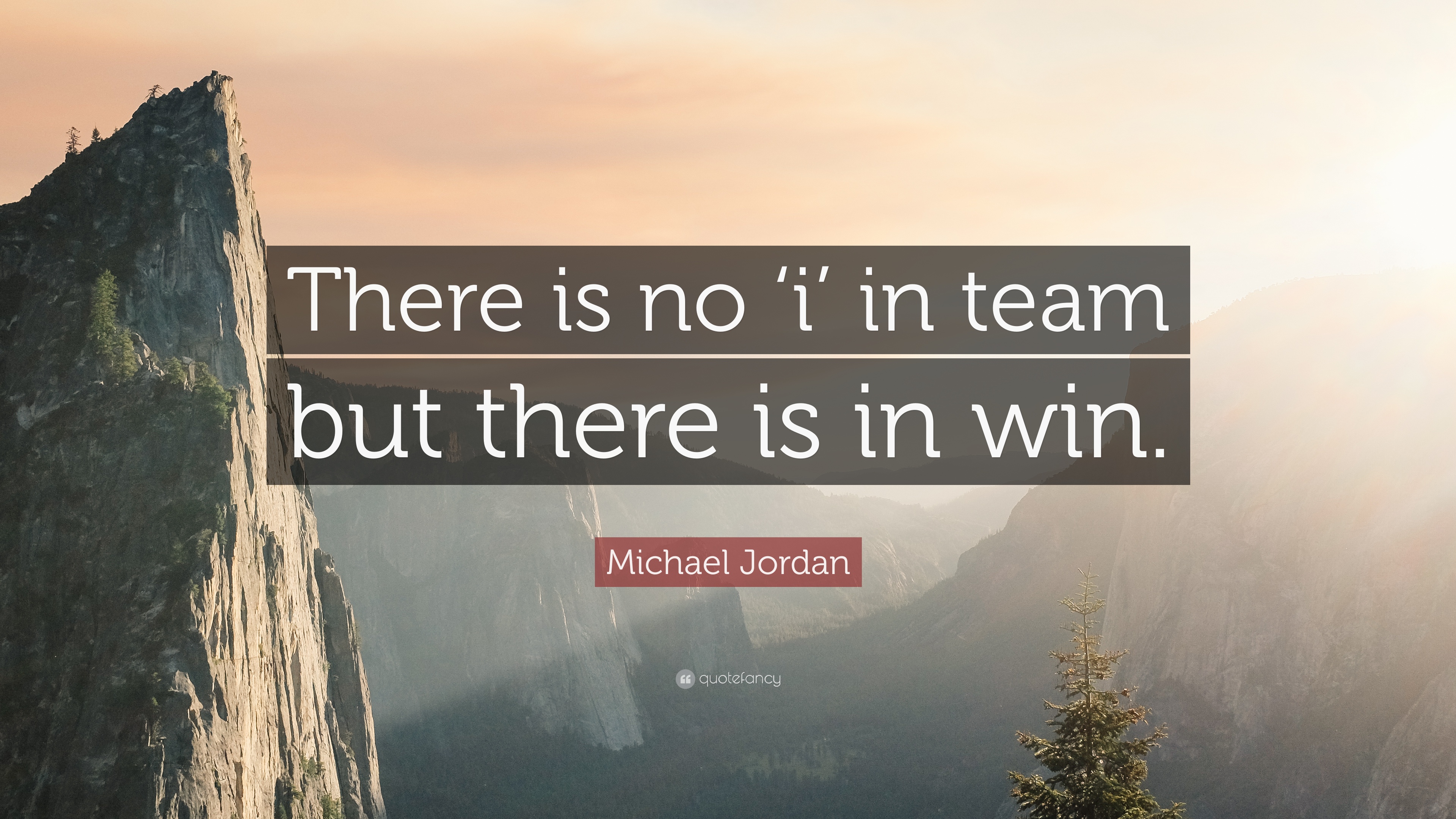 35 Best No I In Team Quotes