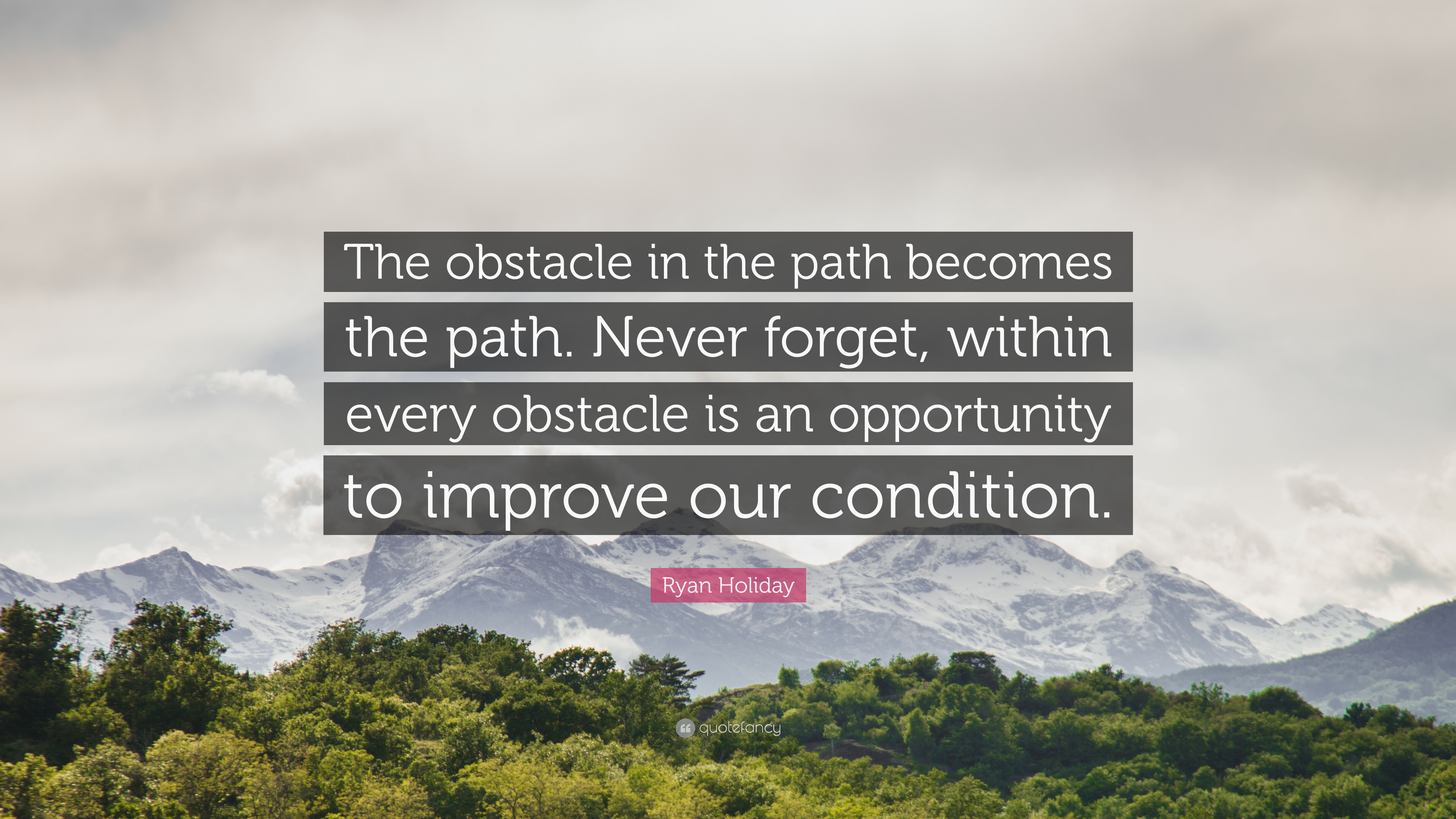 64 Best The Obstacle Is The Way Quotes