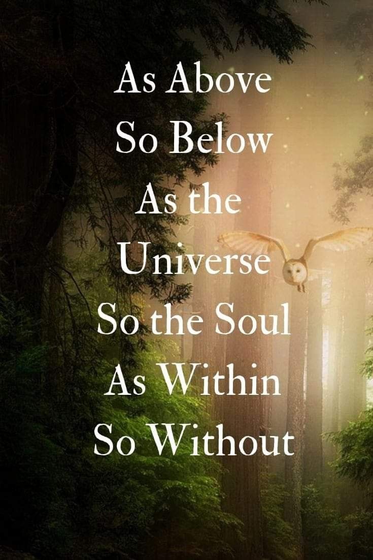 47 Best Wicca Quotes
