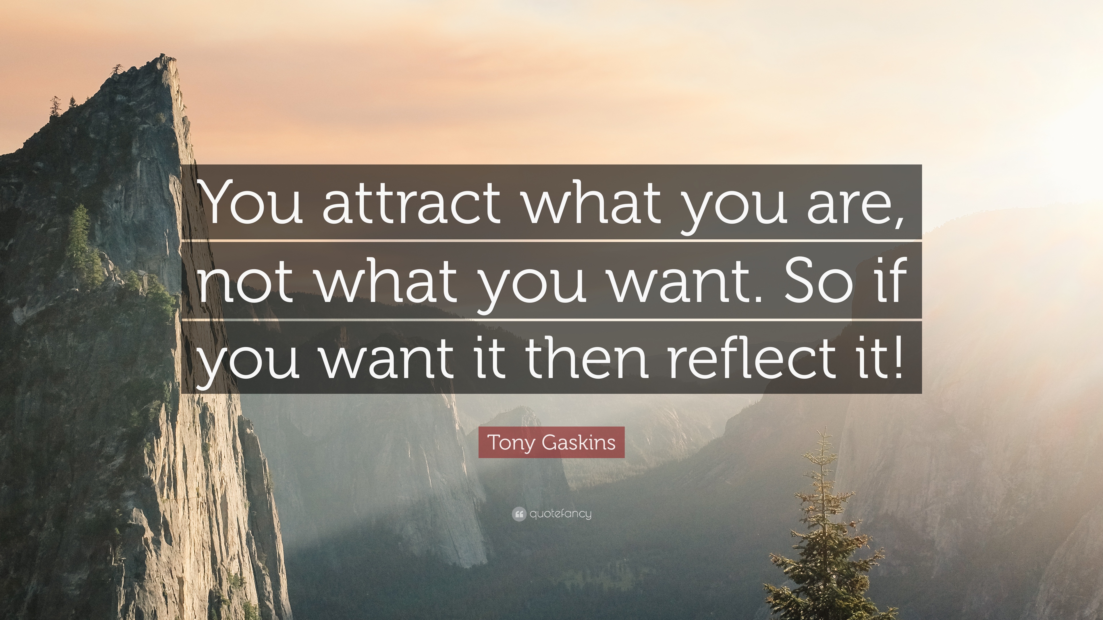 43 Best You Attract What You Are Quotes